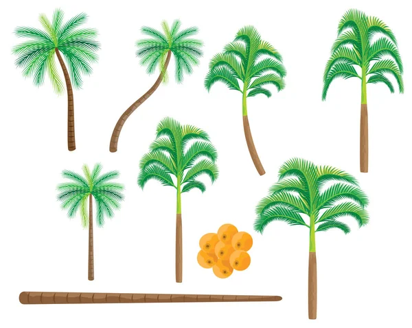 Palm Tree Desert Vector Illustration — Vector de stock