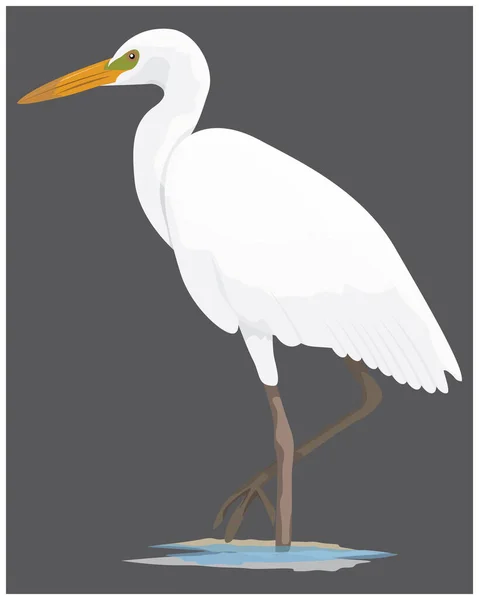 Vector Illustration Bird — Stock Vector