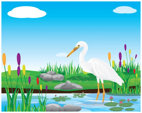 Illustration Eines Schönen Vogels Auf Einem See — Stockvektor