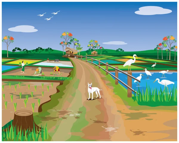 Illustration Une Ferme Avec Paysage Herbe Une Clôture — Image vectorielle