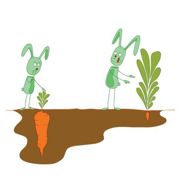 başarılı bir tavşan