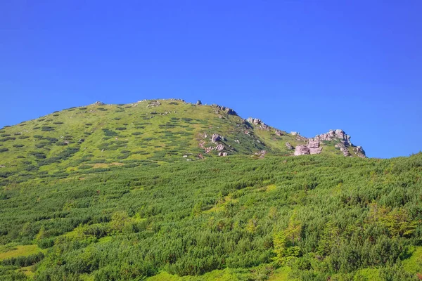 Kulak Taşı 'nın alt görüntüsü
