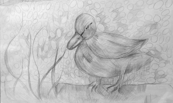 Güzel el çizimi ördek