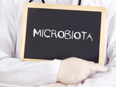 Doctor shows information: microbiota clipart
