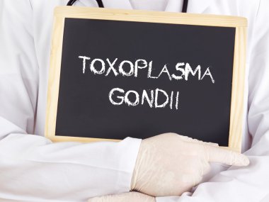 Doctor shows information: Toxoplasma gondii clipart
