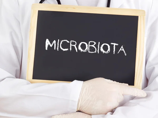 Doktor bilgileri gösterir: microbiota