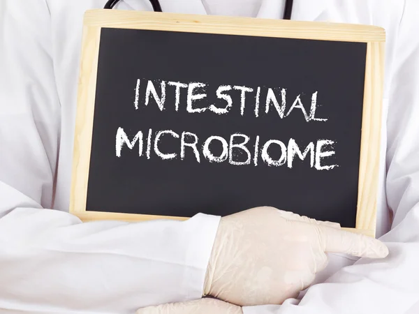 Doctor shows information: intestinal microbiome — Stock Photo, Image