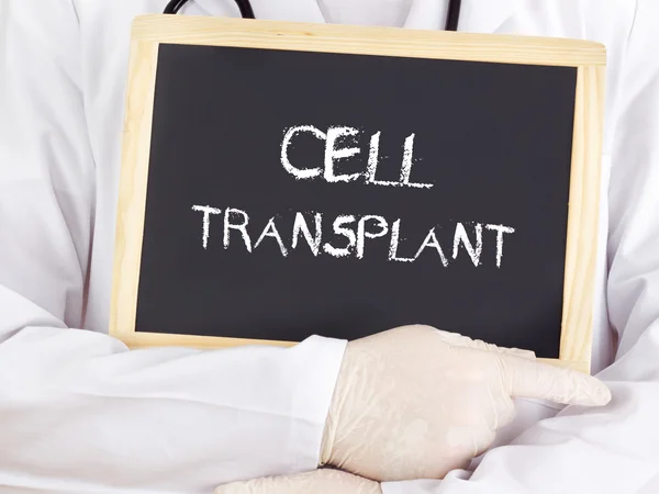 Doctor ukazuje informace: transplantaci buněk — Stock fotografie