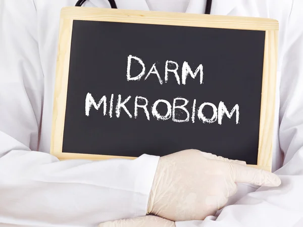 Doctor shows information: bowel microbiome in german — Stock Photo, Image