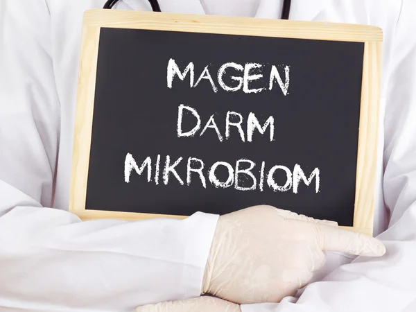 Doctor shows information: gastrointestinal microbiome in german — Stock Photo, Image