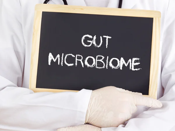 Doktor bilgileri gösterir: gut mircobiome - Stok İmaj