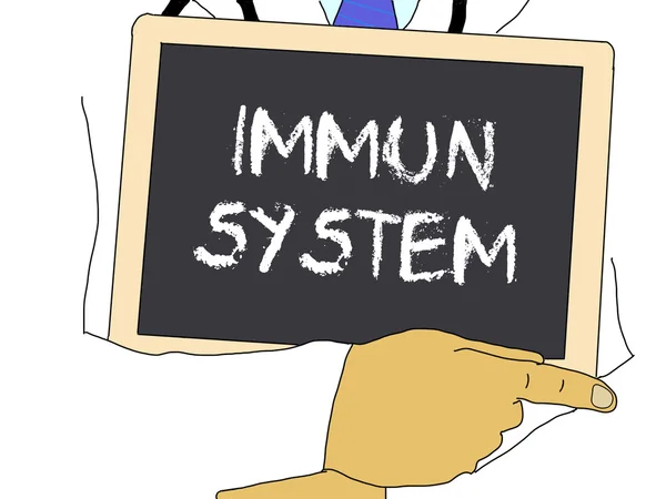 Иллюстрация: Доктор показывает информацию: иммунная система на немецком языке — стоковое фото