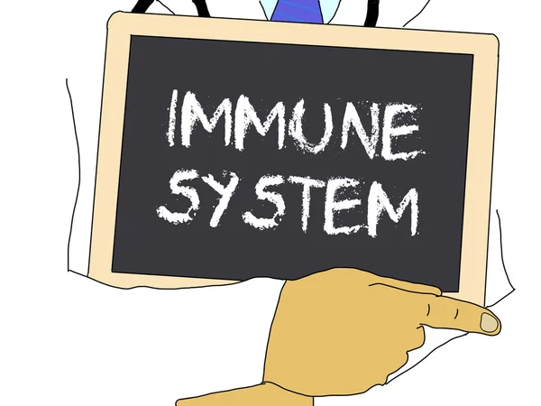 Иллюстрация: Доктор показывает информацию: иммунная система — стоковое фото