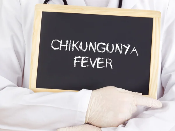 Arts toont informatie op blackboard: Chikungunya-koorts — Stockfoto