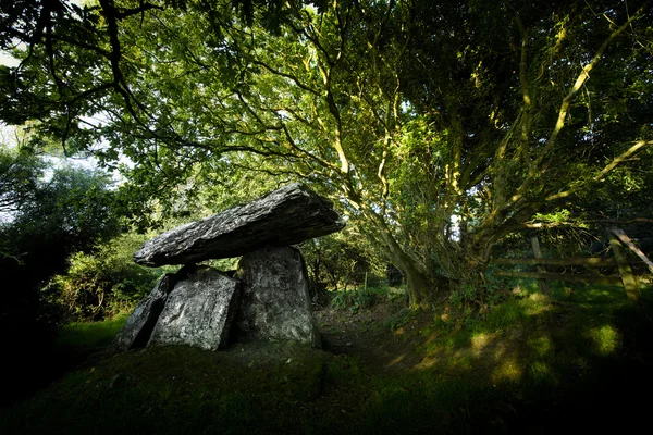 アイルランドのゴールタウン・ドルメン — ストック写真