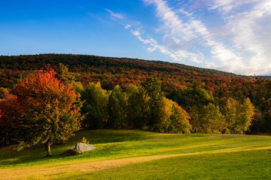 Bir sonbahar öğleden sonrasına kadar Kaaterskill Ormanı