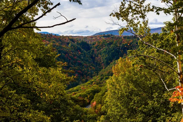 Kaaterskill Forest Fall — Stock Photo, Image