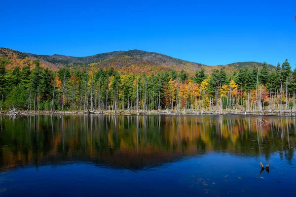Color Del Follaje Otoño Cerca Montaña Whiteface Adirondack — Foto de Stock