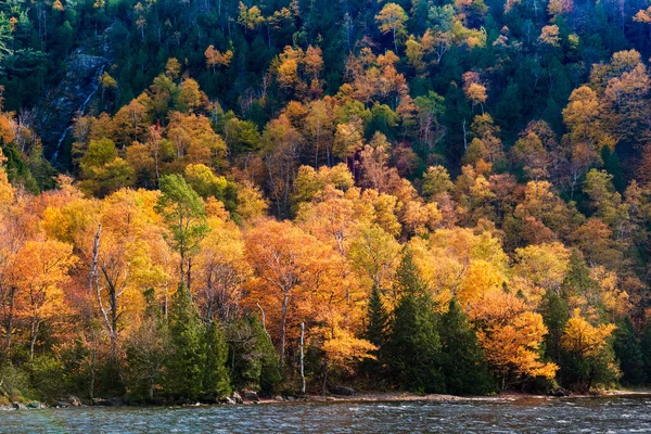 カスケード山の紅葉 — ストック写真