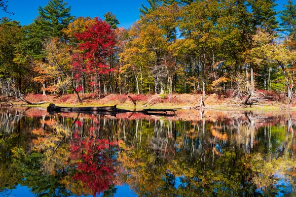 佐古川の紅葉 — ストック写真