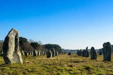 Carnac 'ın Kermario' daki menhir hizalamasının görüntüsü