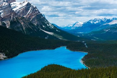 Kanada 'daki Peyto Gölü' nün ikonik görünümü ve renkleri