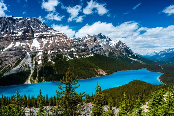 Vista Proa Lago Peyto Parque Nacional Banff — Foto de Stock