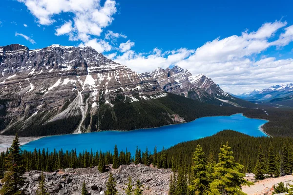 Cores Típicas Lagos Montanhas Lago Peyto — Fotografia de Stock