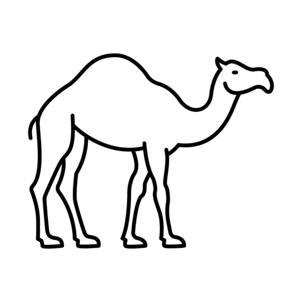 海湾骆驼分离向量图标 可以很容易地修改或编辑 — 图库矢量图片