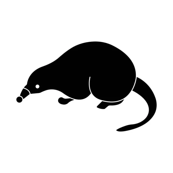 Rat Isolerad Vektor Ikon Som Lätt Kan Modifieras Eller Redigeras — Stock vektor