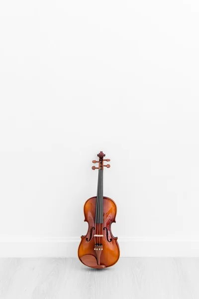 在白色古典大提琴 — 图库照片