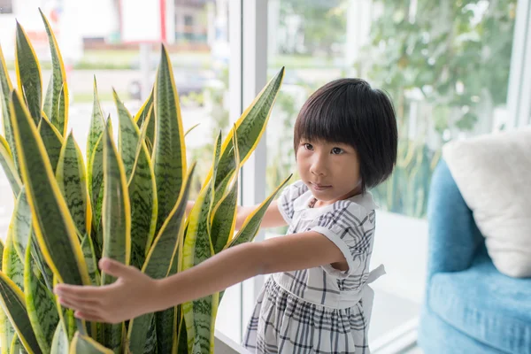 可爱的亚洲女孩 — 图库照片