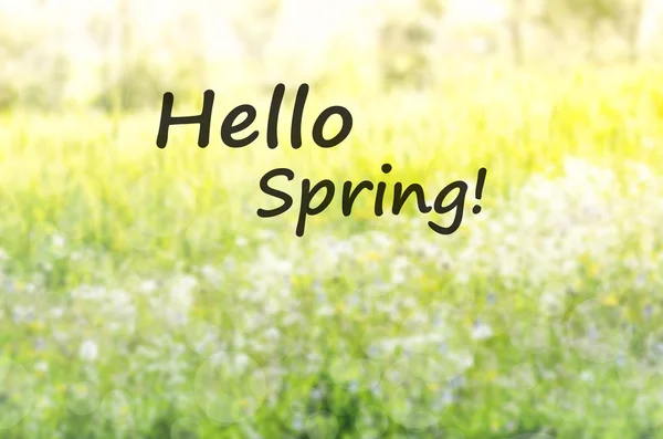Phrase hello spring over green grass bokeh. Beauty nature backgr — Stock Photo, Image