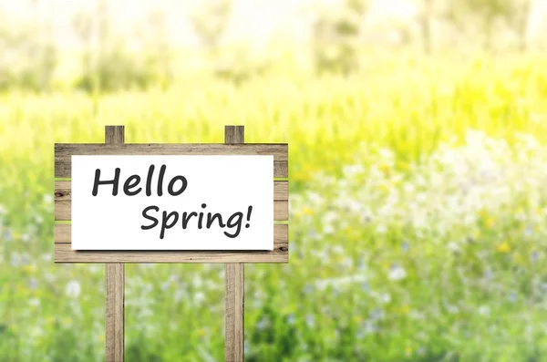 Phrase hello spring over white paper, Beauty nature background — Stock Photo, Image