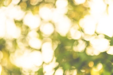 Bulanık arka plan bokeh ışık