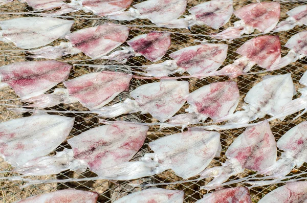Calamares frescos en el gridiron — Foto de Stock