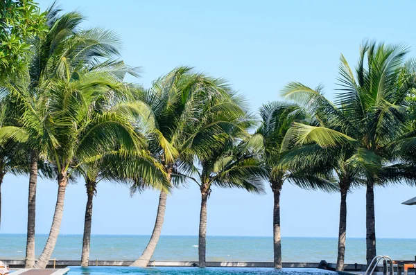 समुद्र तट पर नारियल पेड़ — स्टॉक फ़ोटो, इमेज