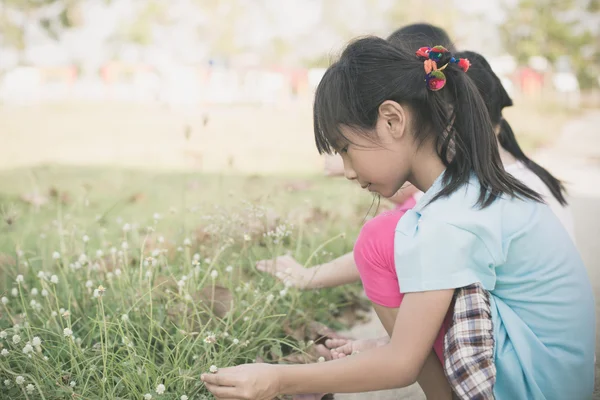 Asiático niños jugando hierba flores en el parque al aire libre, vintag —  Fotos de Stock