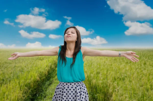 Mujer levantando las manos en el campo de arroz y el cielo azul . — Foto de Stock