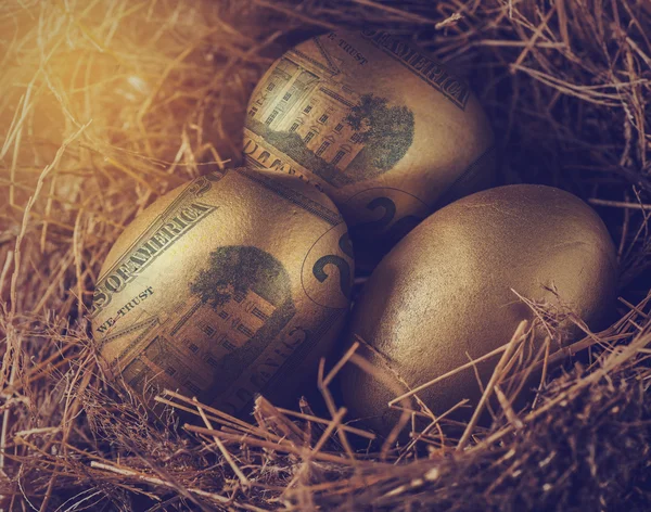 Dollar in golden eggs with nest, wealth concept. — Stock Photo, Image