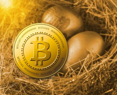 Altın yumurta yuvada Bitcoin.