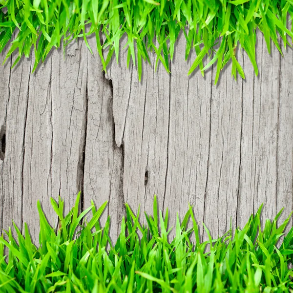 Wood texture background with green grass covered — Stock Photo, Image