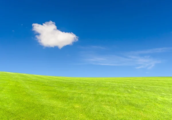 Beautiful landscape with green meadow, — Stock Photo, Image