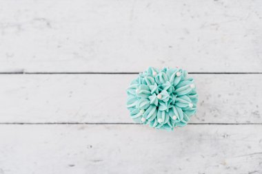 İnci doğum günü kek ahşap masa üzerine tereyağı krema krema ile.