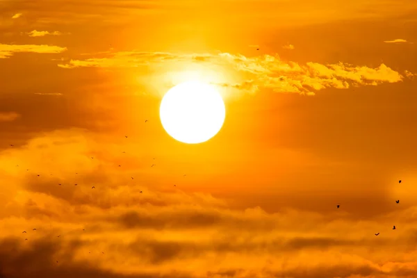 Sol nascente com passarinhos . — Fotografia de Stock