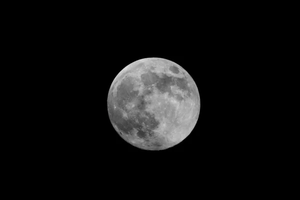 Black and white moon — Stock Photo, Image