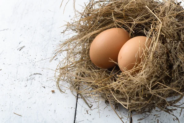 Ägg i boet på vita träbord. — Stockfoto