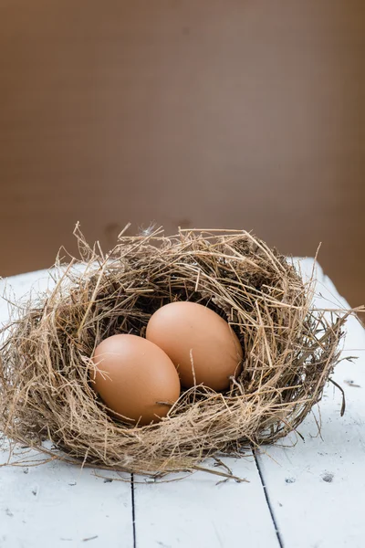 Eggs in nest. — Stock Photo, Image