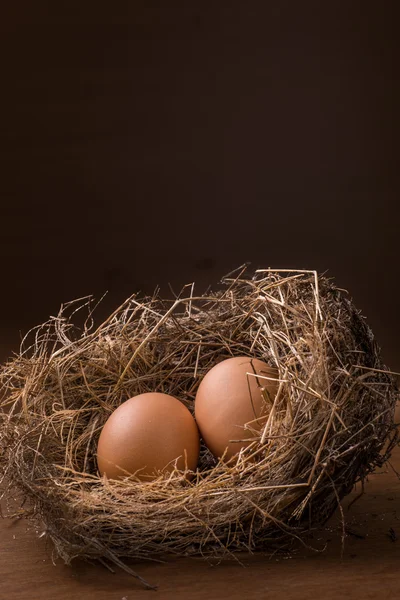 Eieren in nest. — Stockfoto