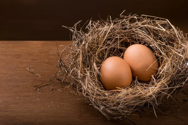 Ägg i boet. — Stockfoto